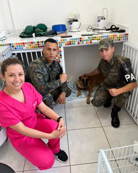 Internação veterinária em alphaville