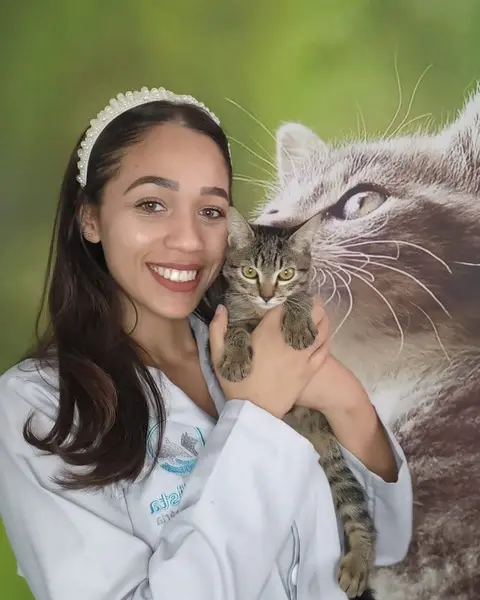 Vacinação para gatos em Osasco