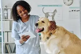 Veterinário especialista